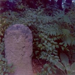 Milestone V in 1975