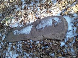 On the ground in February 2025