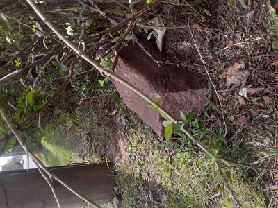 Damage to Milestone VIII