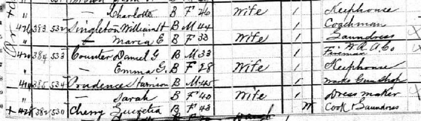 1880 census entry for William Singleton